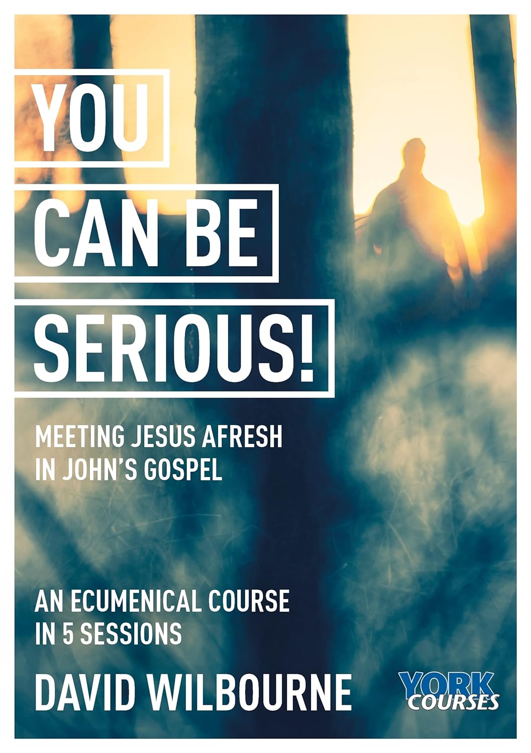 You Can Be Serious! (York course)