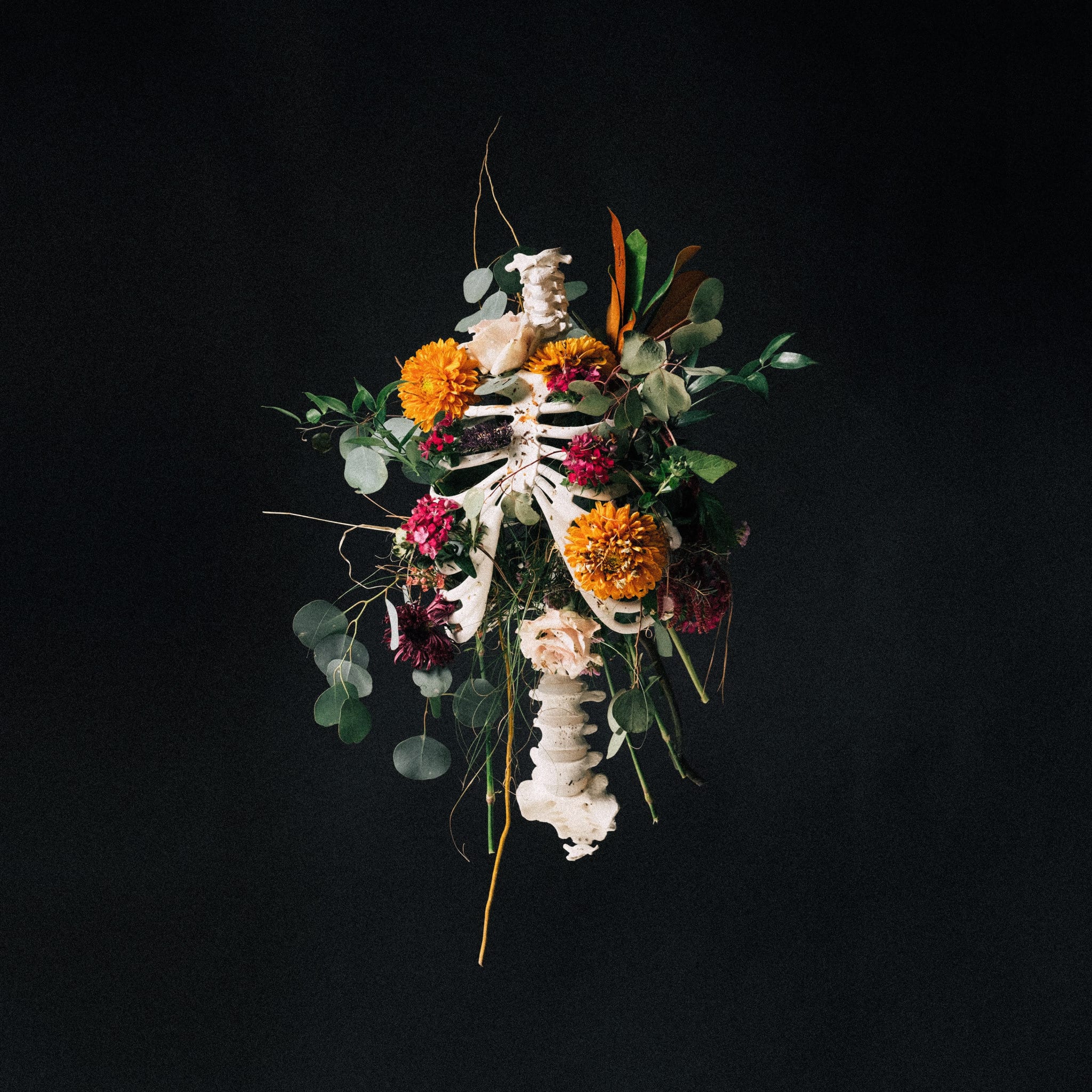 Graves Into Gardens CD