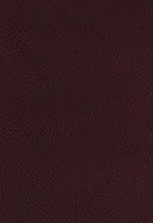 KJV Study Bible, The, Bonded Leather, Full-Color Ed.