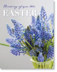 Close up muscari stems Easter Card