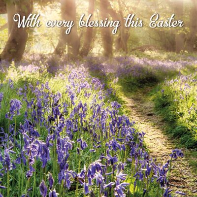 Bluebell Wood