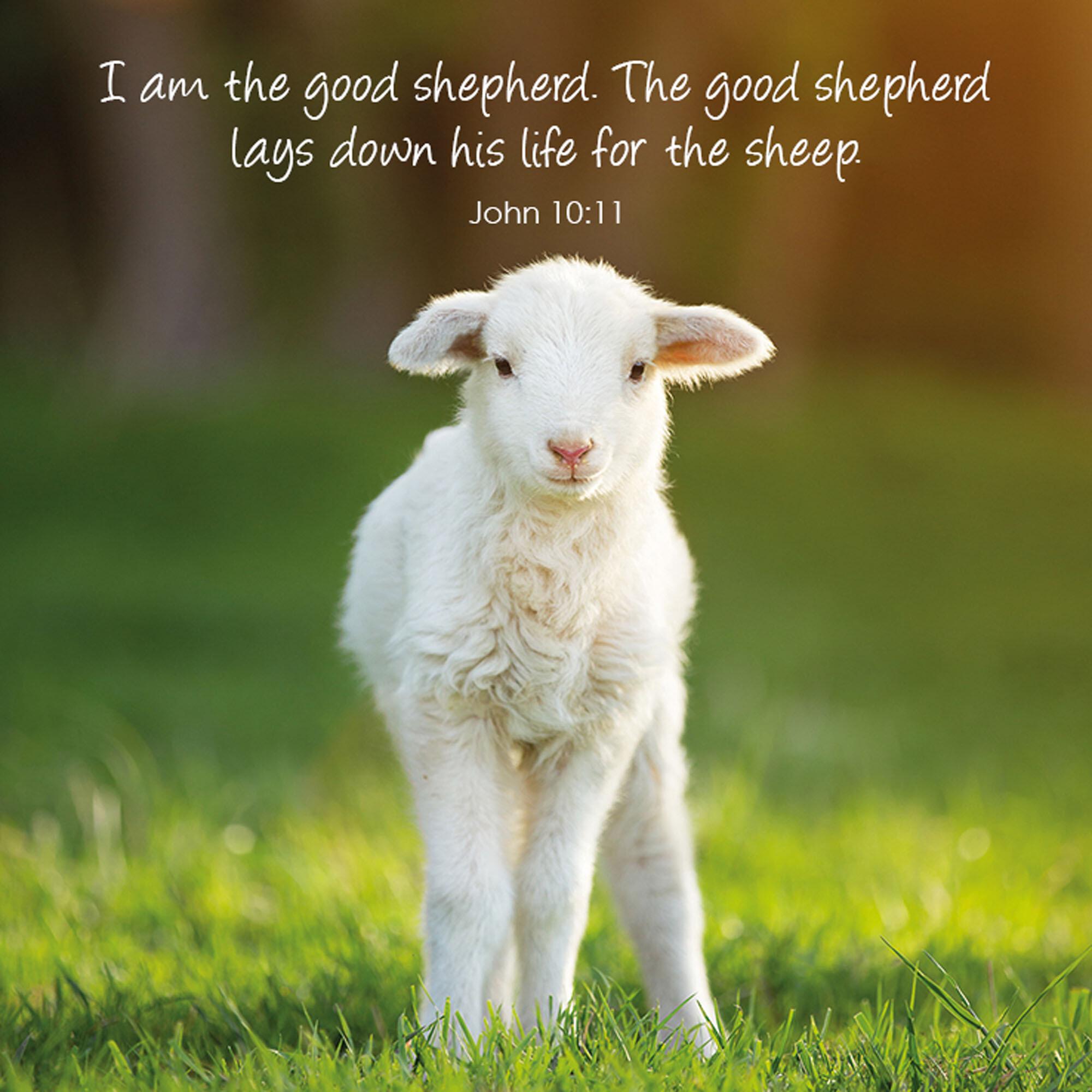 Easter Lamb