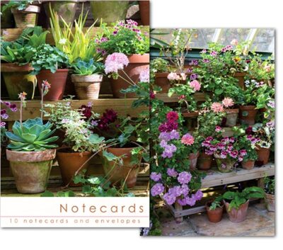W157 Notecard Wallet -Pot Plants  (10 cards)