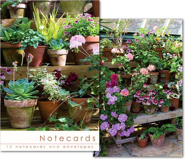 W157 Notecard Wallet -Pot Plants (10 cards)