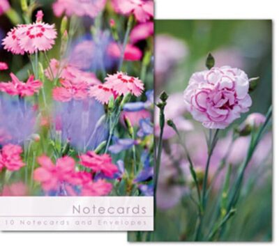 W183T Notecard Wallet - Pink Carnations (10 cards)