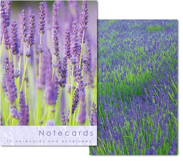 W118 Notecard Wallet - Lavender Stems (10 cards)