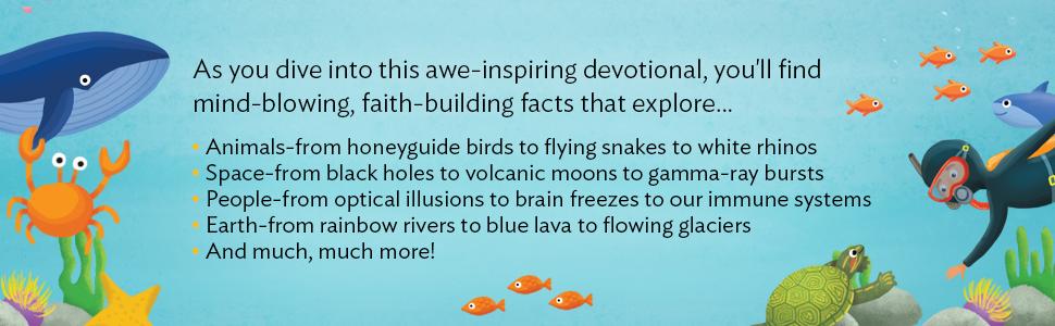 Wonder of Creation - Image 3
