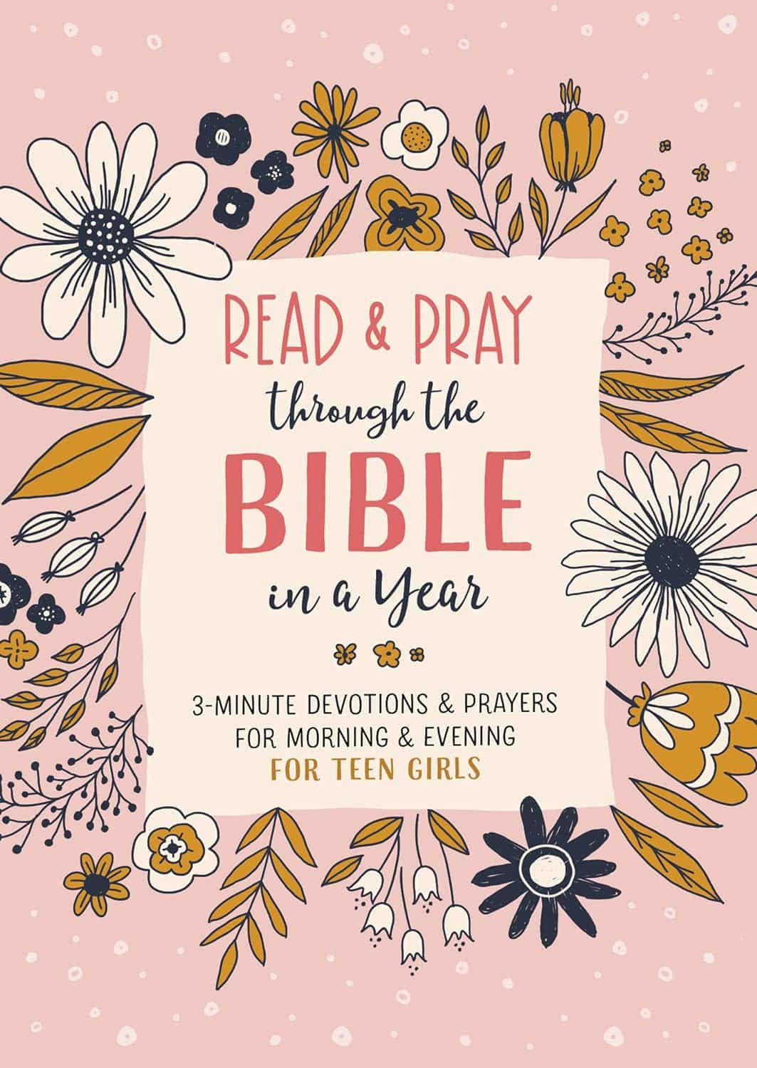 Read and Pray through the Bible in a Year