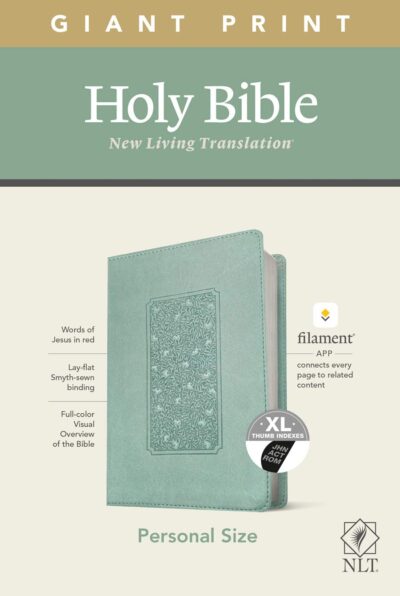 NLT Personal Size Giant Print Bible, Filament Edition, Teal