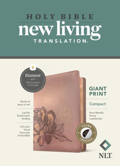NLT Compact Giant Print Zipper Bible, Filament Edition