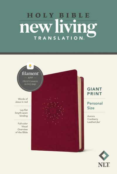 NLT Compact Giant Print Bible, Filament Edition, Navy