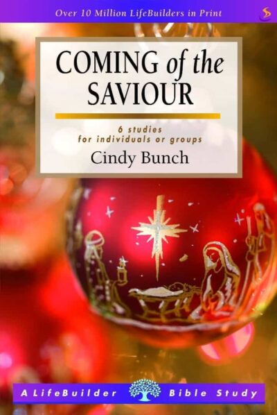 Coming of the Saviour (Lifebuilder Study Guides)
