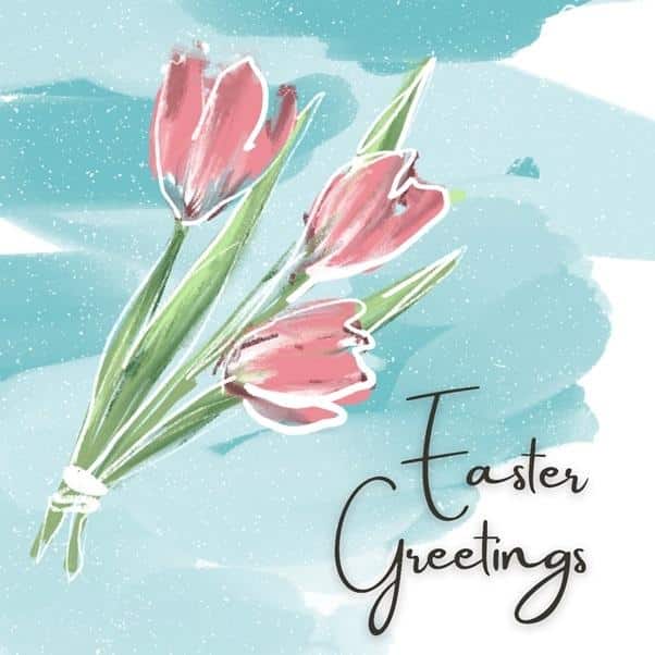 Easter Greetings Tulips | Spring Harvest Store