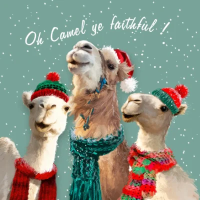 Tearfund - Faithful Camels (Pack of 10)