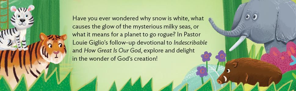 Wonder of Creation - Image 4