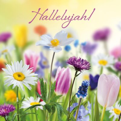 Hallelujah! Easter The Leprosy Mission Easter Cards (pack of 4)