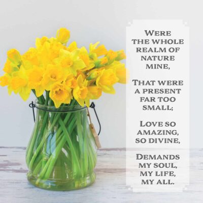 Realm of Nature Easter Cards (pack of 5)
