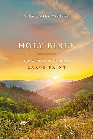 KJV Large Print Outreach New Testament Bible, Sunset