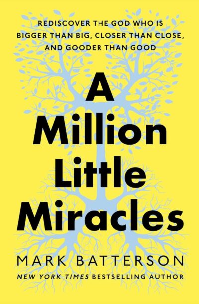 A Million Little Miracles