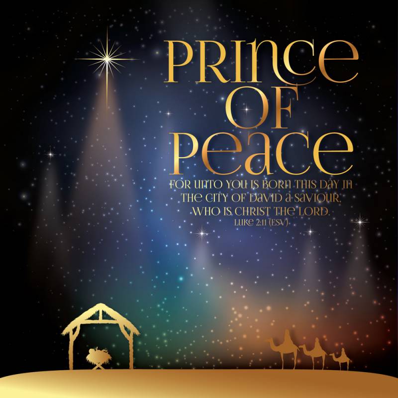 Prince of Peace Luxury Christmas Card JCD