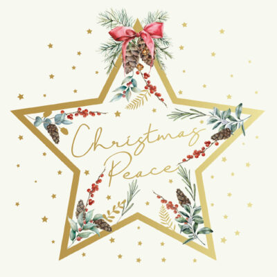 Tearfund - Christmas Star (Pack of 10)