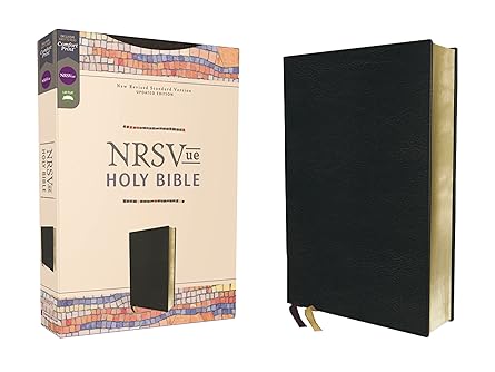 NRSVue Bible, Leathersoft, Black, Comfort Print