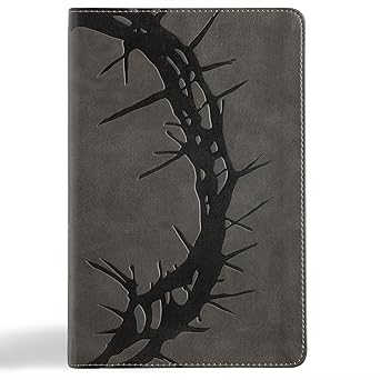NASB Large Print Personal Size Reference Bible, Grey